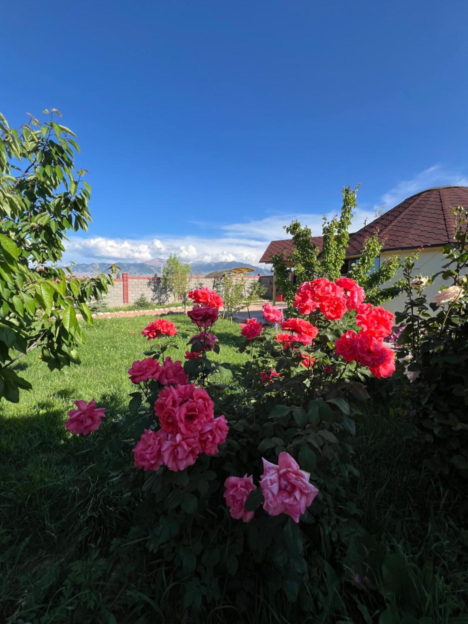 Svetlana Guest House Bokonbayevo Exterior foto