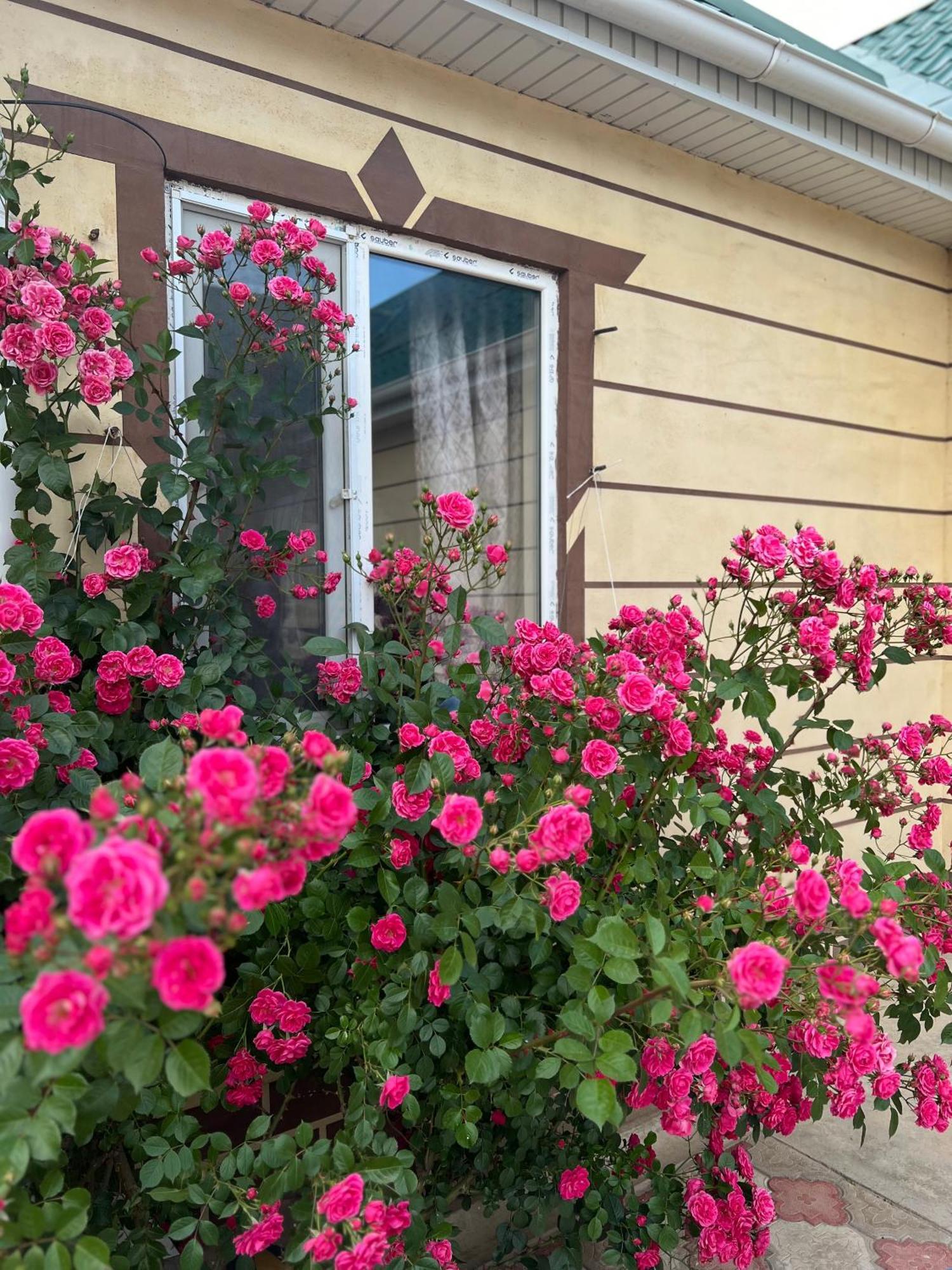 Svetlana Guest House Bokonbayevo Exterior foto